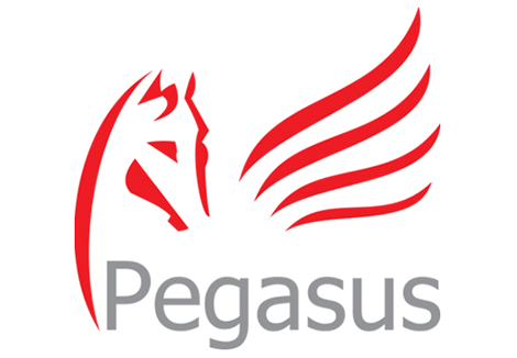 Pegasus