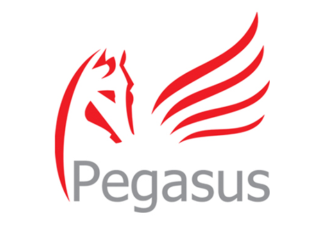 Pegasus